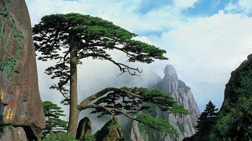 铸造石栏杆,铸造石挂板,晶铸石挂板,晶铸石栏杆,铸造石树池坐凳,泰科石树池,晶铸石,精铸石,泰科石,铸造石桥梁装饰